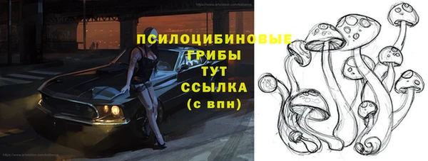 прущие крисы Дмитров