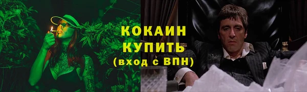 apvp Дмитриев