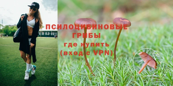 ALPHA PVP Дмитровск