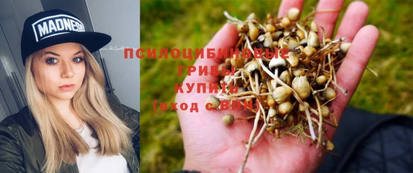 apvp Дмитриев