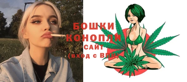 apvp Дмитриев