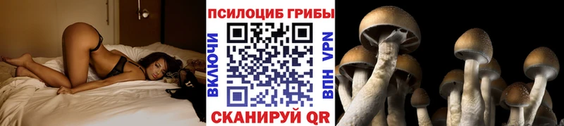 Псилоцибиновые грибы MAGIC MUSHROOMS  Купить где  Камешково 